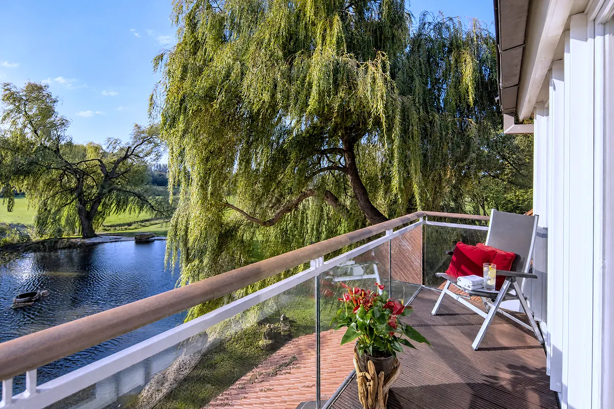 Terrasse, 14 Schwarzer Schwan