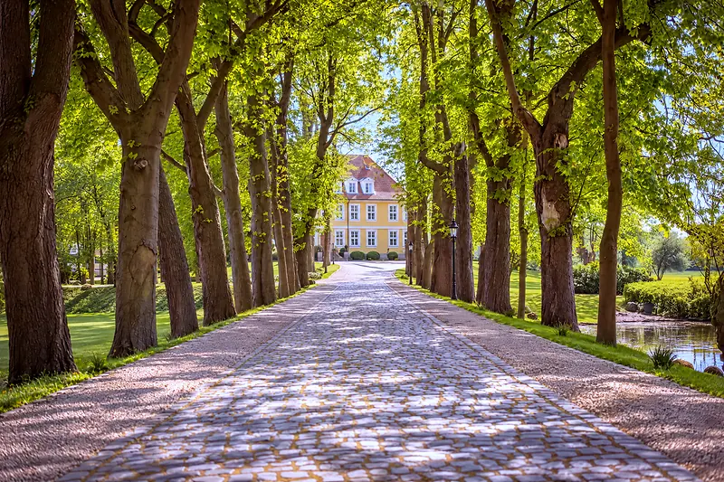 The avenue to the main house